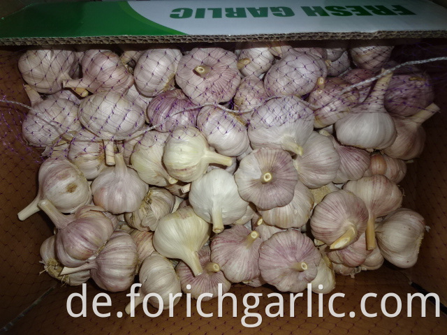 Fresh Normal White Garlic Crop 2019